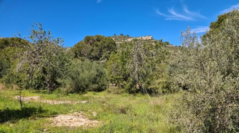 Tarragona - la Ràpita - 28159m2