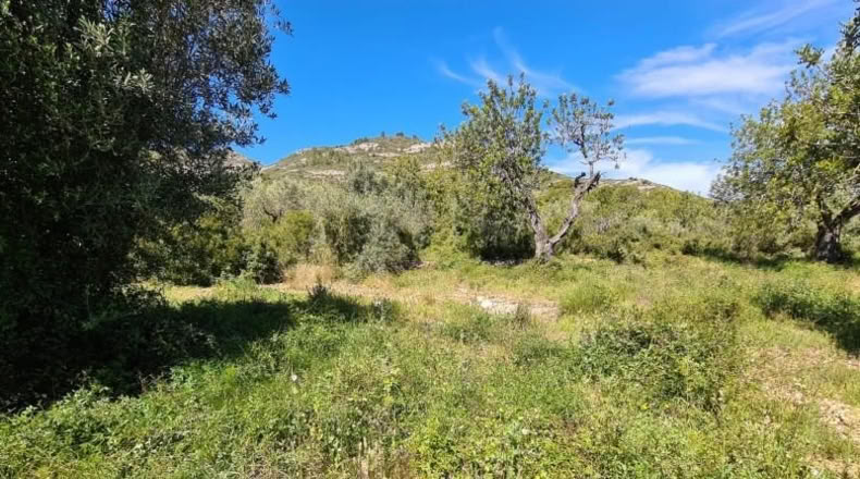 Tarragona - la Ràpita - 28159m2