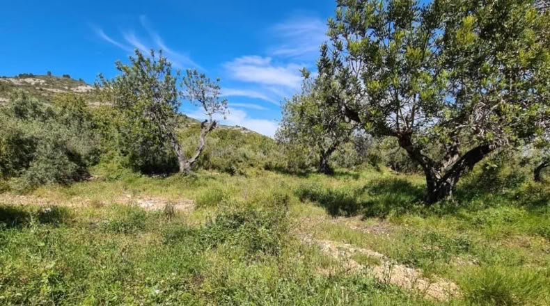 Tarragona - la Ràpita - 28159m2