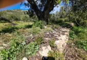 Terreny no urbanitzable en venda a la España, la Ràpita, ref.: TR402888 foto