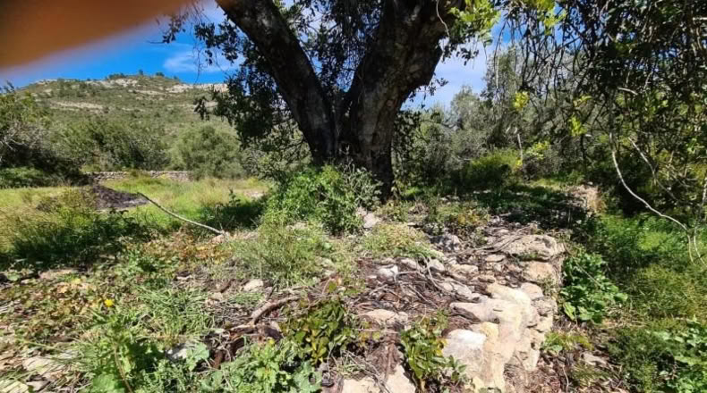 Tarragona - la Ràpita - 28159m2