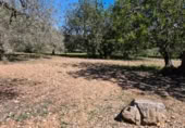 Terreny no urbanitzable en venda a la España, la Ràpita, ref.: TR402888 foto