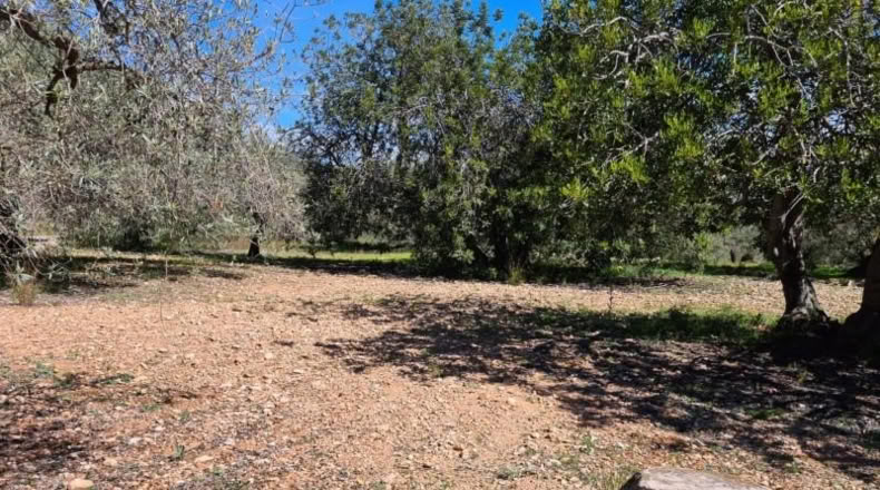Tarragona - la Ràpita - 28159m2