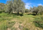 Terreny no urbanitzable en venda a la España, la Ràpita, ref.: TR402888 foto