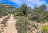 Terreny no urbanitzable en venda a la España, la Ràpita, ref.: TR402888 foto