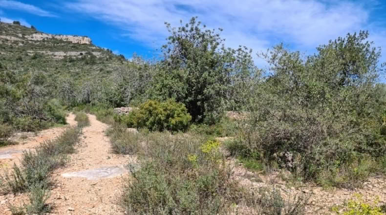 Tarragona - la Ràpita - 28159m2