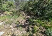 Terreny no urbanitzable en venda a la España, la Ràpita, ref.: TR402888 foto