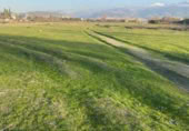 Non-developable land for sale on España, Cúllar Vega, ref: TR402896 photo