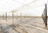 Non-developable land for sale on España, Motril, ref: TR402914 photo