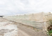 Non-developable land for sale on España, Motril, ref: TR402914 photo
