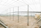Non-developable land for sale on España, Motril, ref: TR402914 photo
