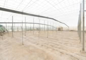 Non-developable land for sale on España, Motril, ref: TR402914 photo