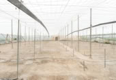 Non-developable land for sale on España, Motril, ref: TR402914 photo
