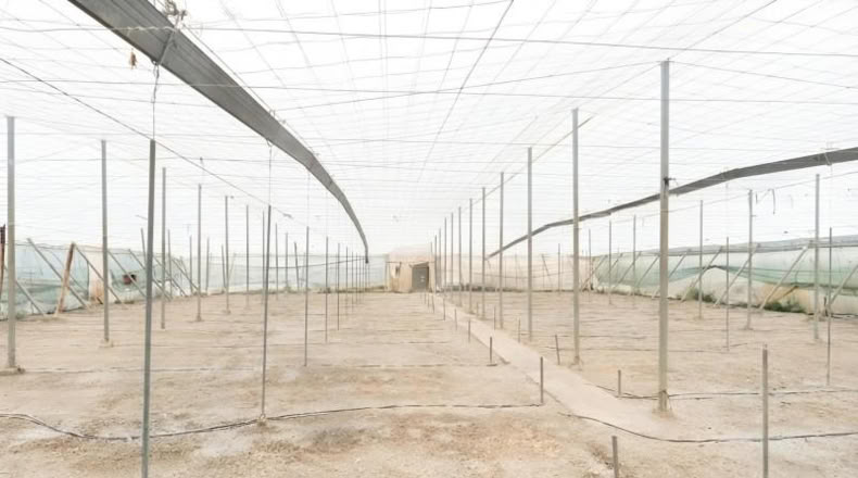 Granada - Motril - 2504m2