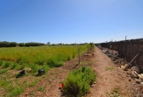 Muro 11000&nbsp;m²