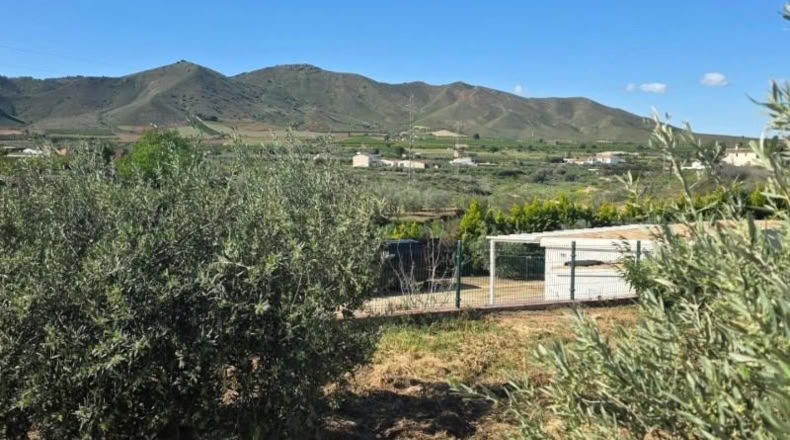 Almería - Huércal-Overa - 7000m2