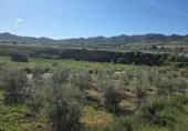 Xalet independent amb terreny en venda a la España, Huércal-Overa, ref.: TR402932 foto