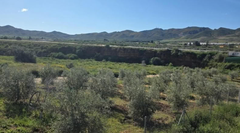 Almería - Huércal-Overa - 7000m2