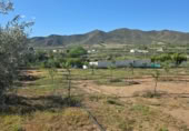 Xalet independent amb terreny en venda a la España, Huércal-Overa, ref.: TR402932 foto