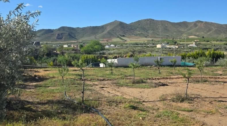 Almería - Huércal-Overa - 7000m2