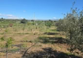 Xalet independent amb terreny en venda a la España, Huércal-Overa, ref.: TR402932 foto