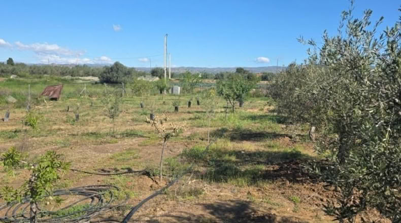 Almería - Huércal-Overa - 7000m2