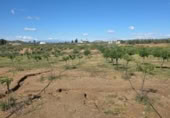Xalet independent amb terreny en venda a la España, Huércal-Overa, ref.: TR402932 foto