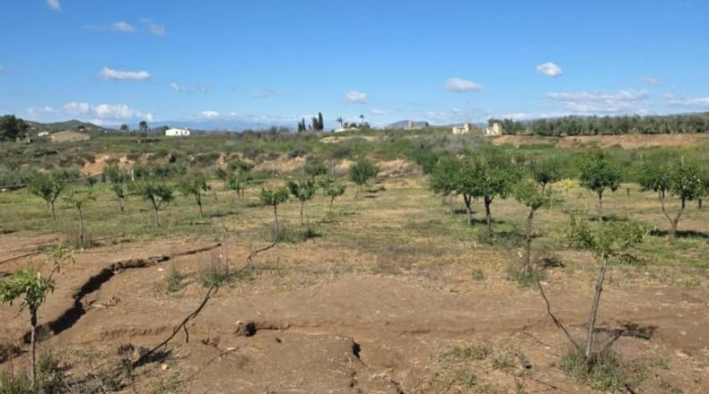 Almería - Huércal-Overa - 7000m2