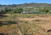 Xalet independent amb terreny en venda a la España, Huércal-Overa, ref.: TR402932 foto