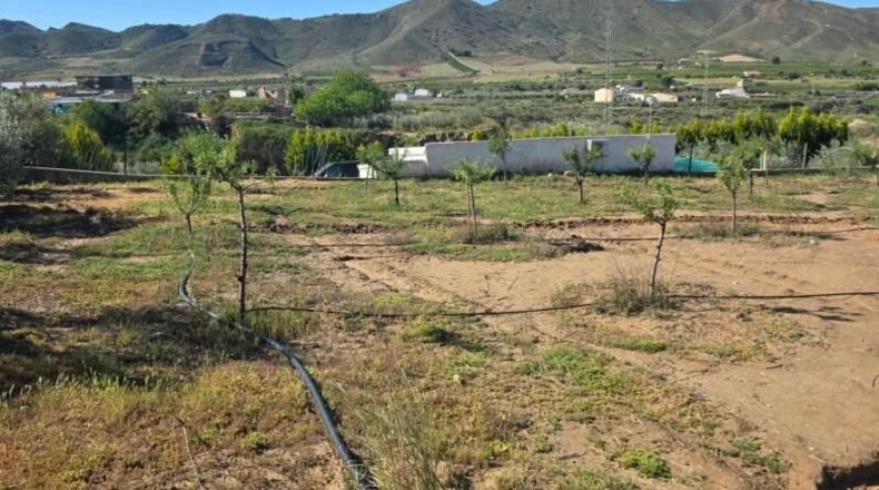 Almería - Huércal-Overa - 7000m2