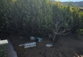 Xalet independent amb terreny en venda a la España, Huércal-Overa, ref.: TR402932 foto