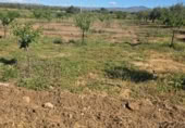 Xalet independent amb terreny en venda a la España, Huércal-Overa, ref.: TR402932 foto