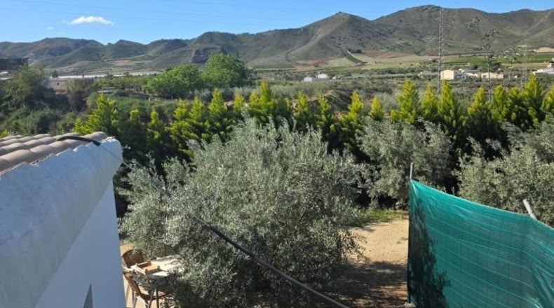 Almería - Huércal-Overa - 7000m2