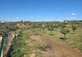 Xalet independent amb terreny en venda a la España, Huércal-Overa, ref.: TR402932 foto