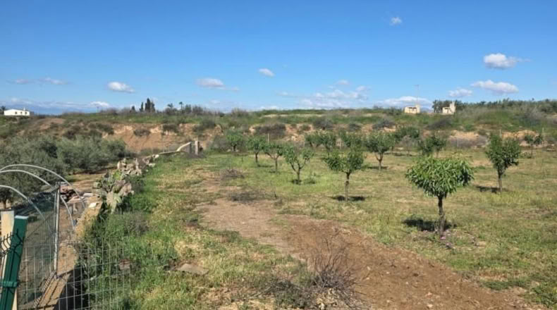 Almería - Huércal-Overa - 7000m2