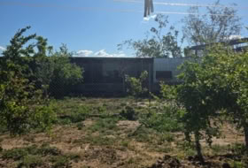 Foto 15