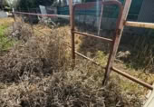 Rural estate for sale on España, Utrera, ref: TR402942 photo