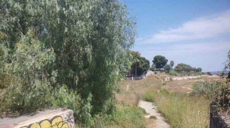 Castellón - Vinaroz - 443m2