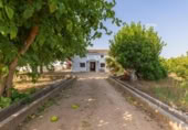 Casa de camp amb terreny en venda a la España, Alzira, ref.: TR402974 foto