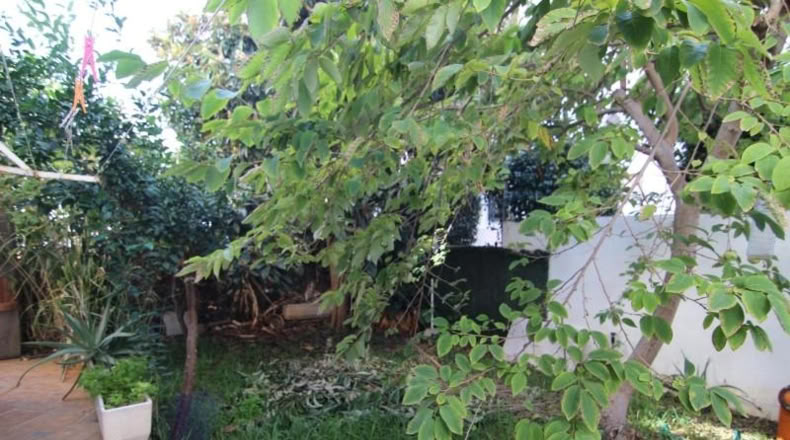 Malaga - Torremolinos - 282m2
