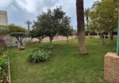 Xalet independent amb terreny en venda a la España, Oriola, ref.: TR403072 foto