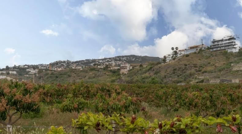 Granada - Salobreña - 23233m2