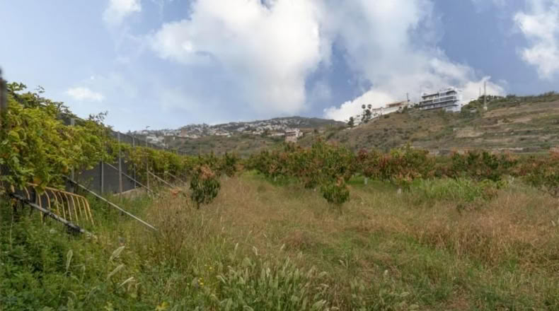 Granada - Salobreña - 23233m2