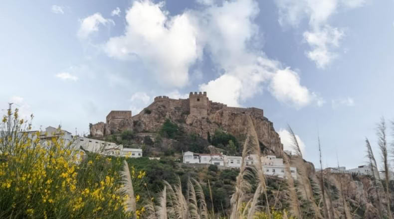 Granada - Salobreña - 23233m2