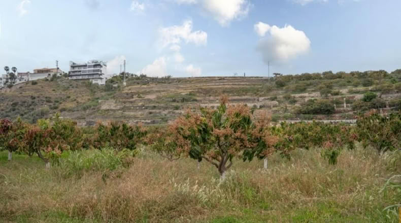 Granada - Salobreña - 23233m2