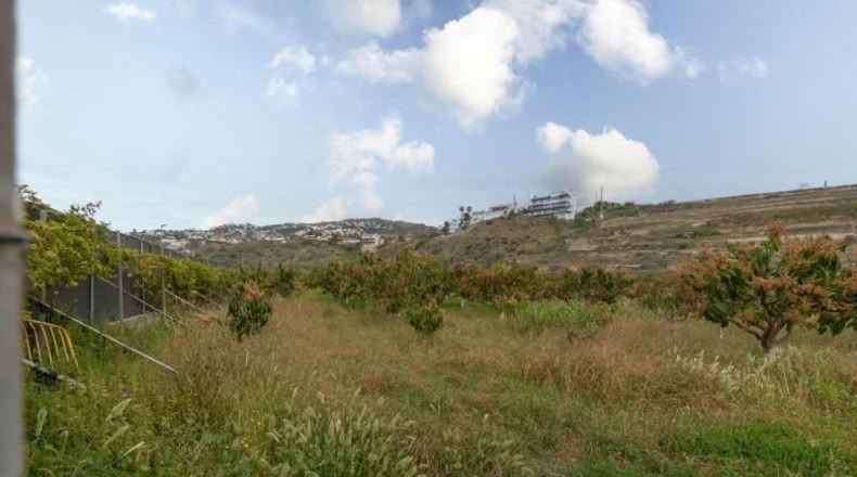 Granada - Salobreña - 23233m2
