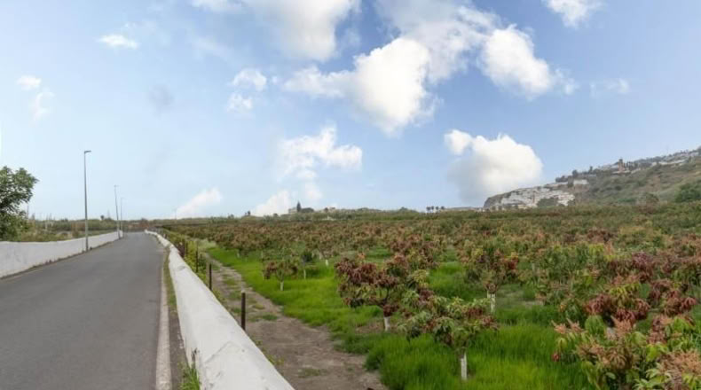 Granada - Salobreña - 23233m2