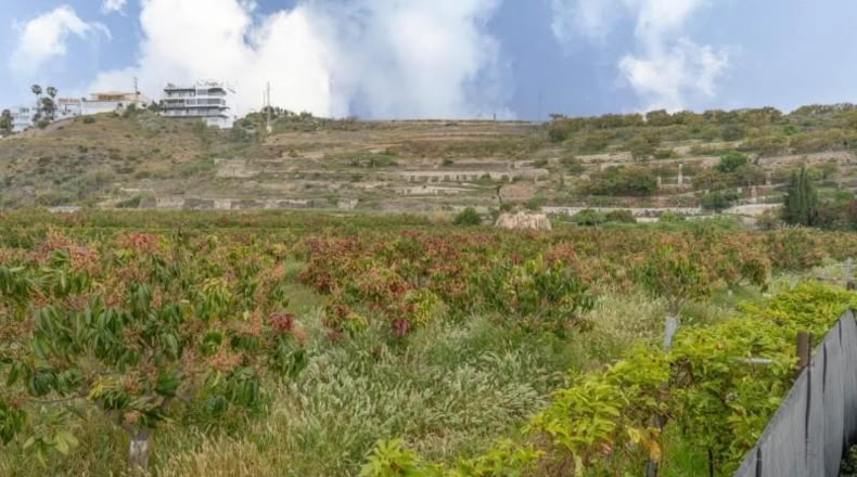 Granada - Salobreña - 23233m2