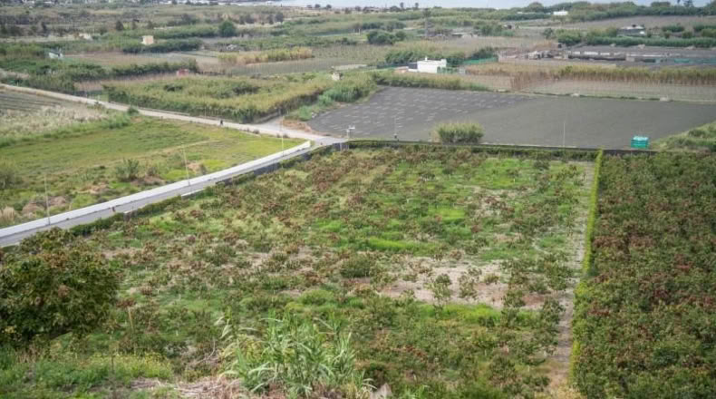 Granada - Salobreña - 23233m2