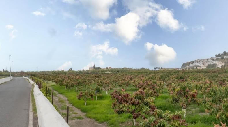 Granada - Salobreña - 23233m2